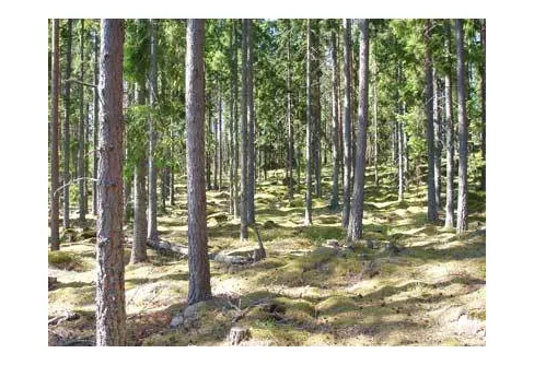 Vad gjorde du i somras?