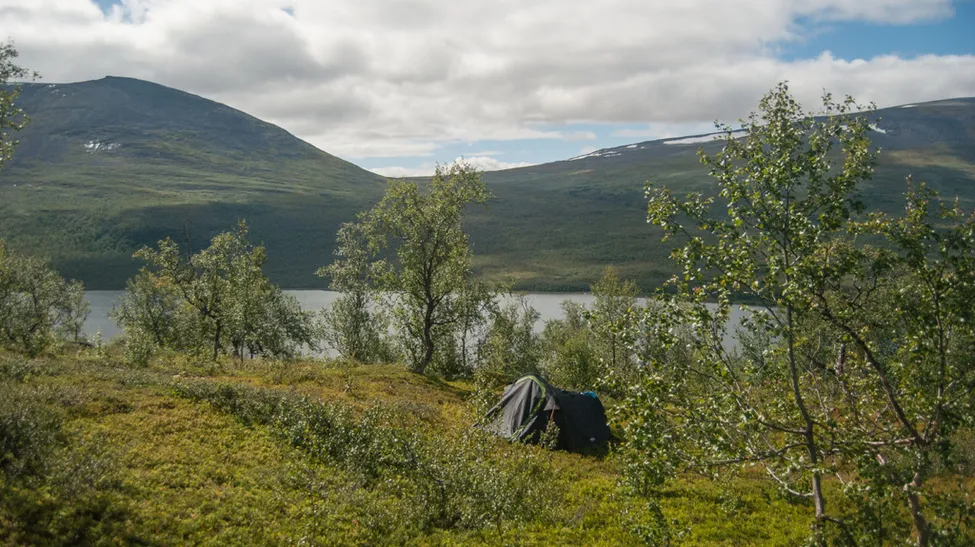 Klicka för att förstora