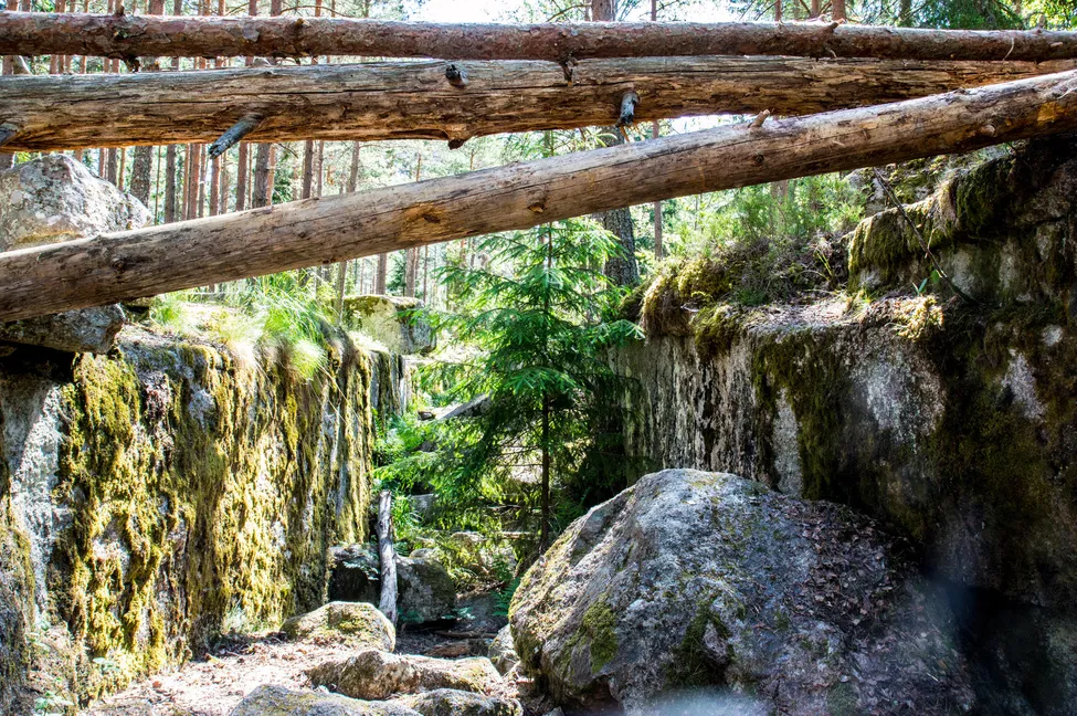 Klicka för att förstora