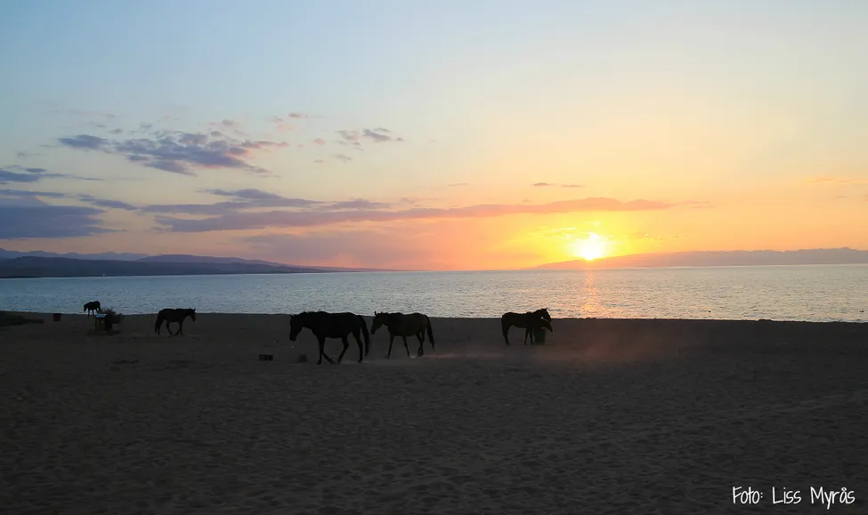 Klicka för att förstora