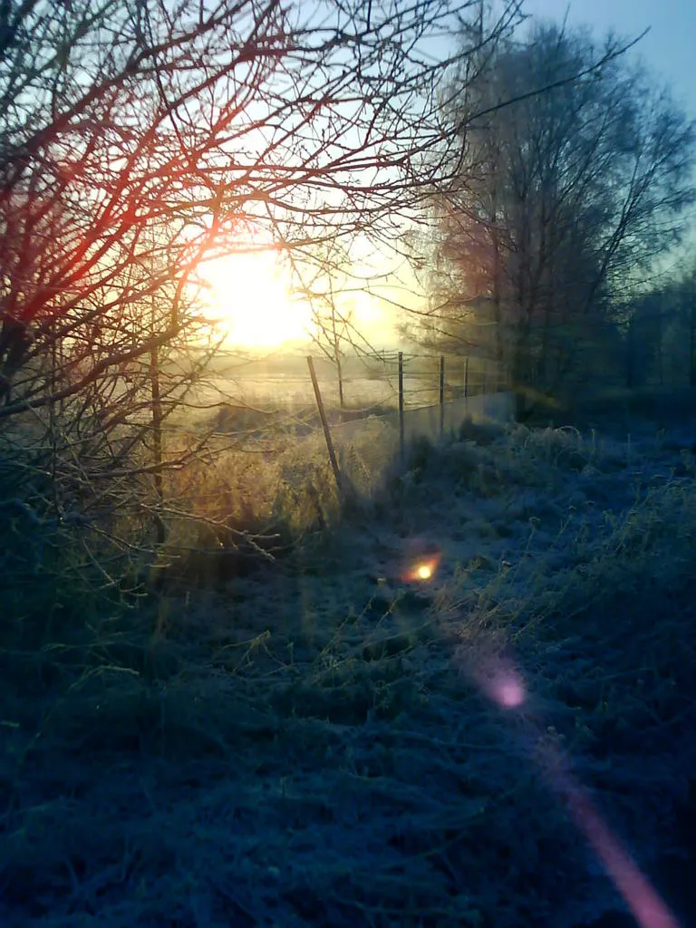 Klicka för att förstora