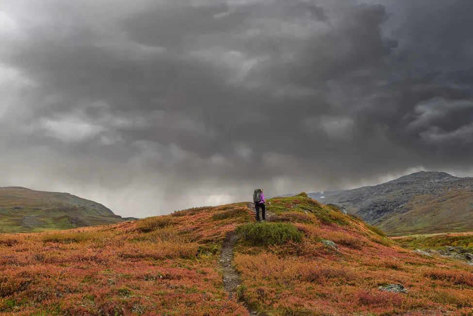 Klicka för att förstora