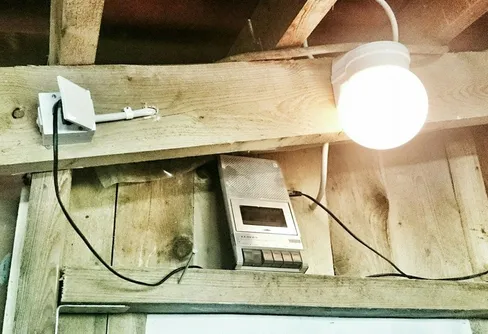 Vad händer med mixen min mindset och fridykning?