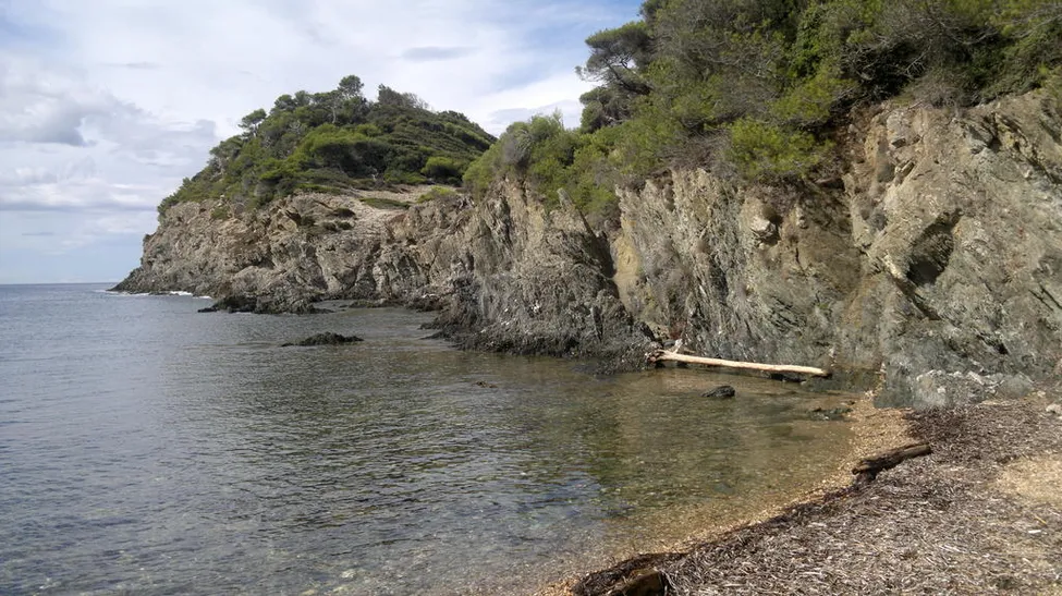 Klicka för att förstora