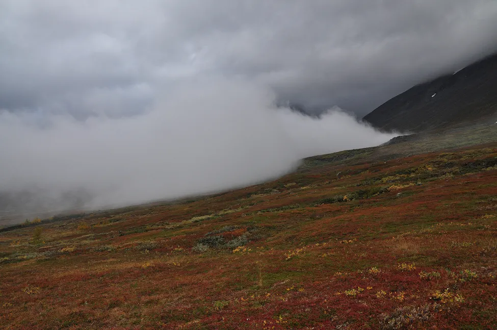 Klicka för att förstora