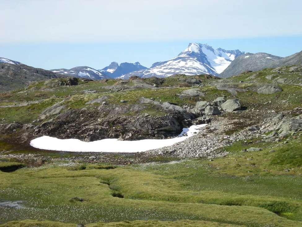 Klicka för att förstora