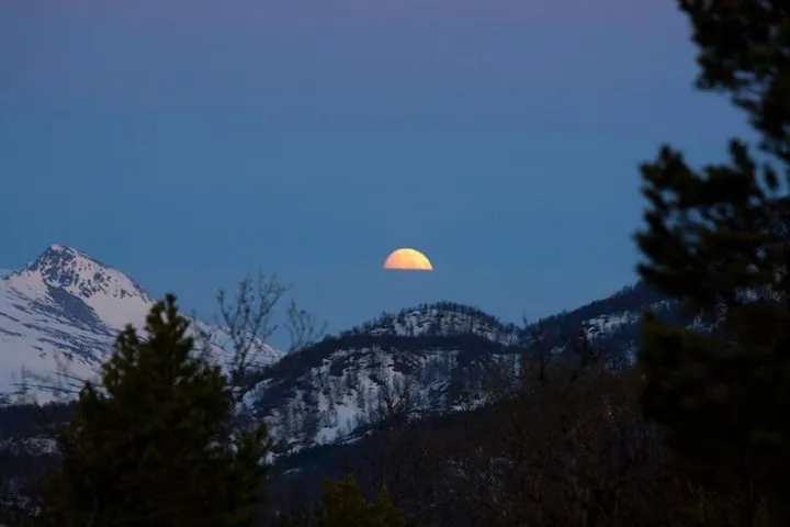 Klicka för att förstora