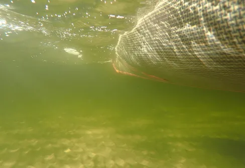 Dag 139 Nörd-Mörön - Orrholmsviken