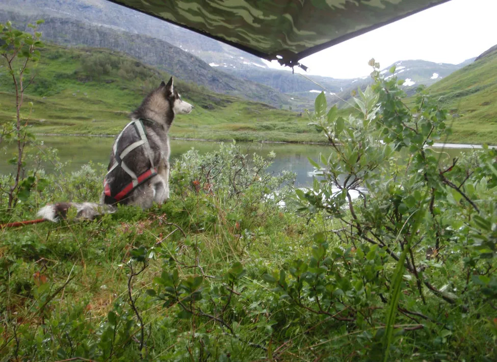 Klicka för att förstora