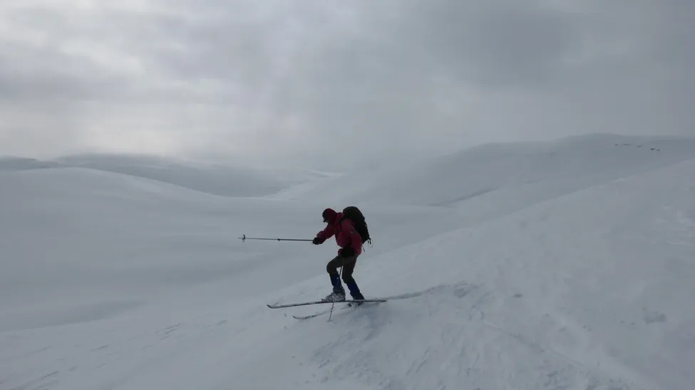 Klicka för att förstora