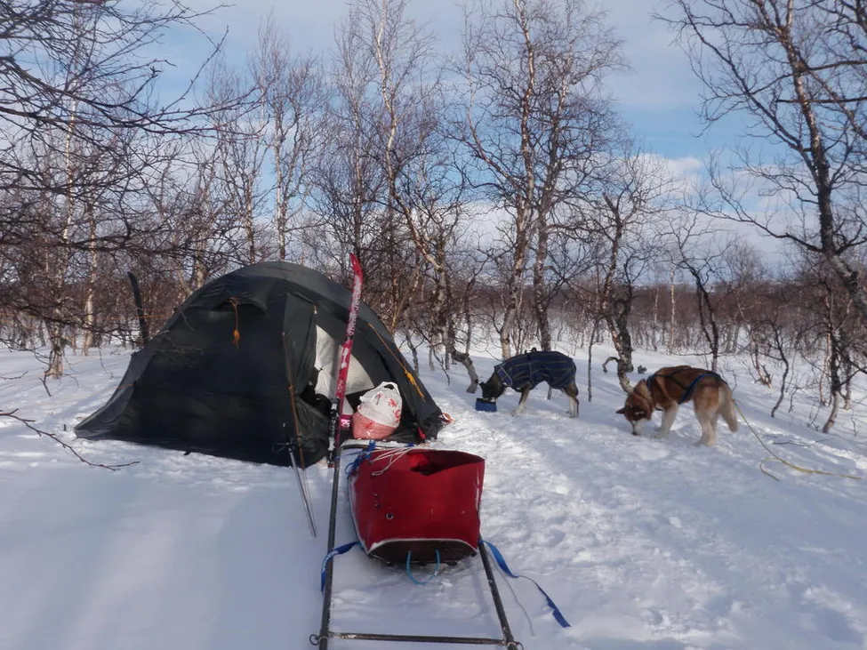 Klicka för att förstora