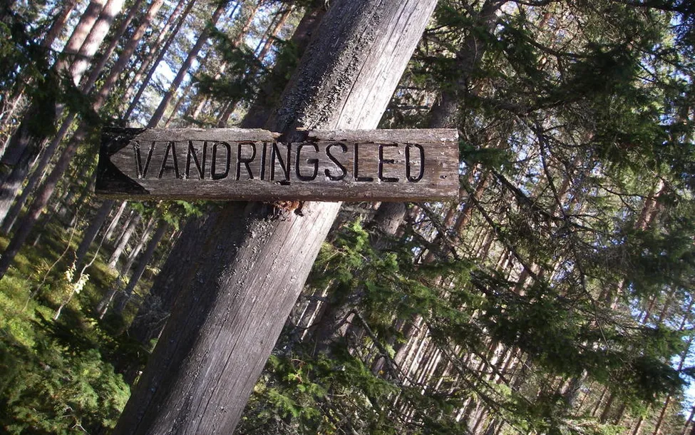 Klicka för att förstora