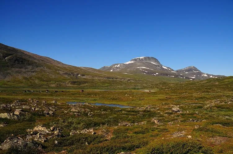 Klicka för att förstora