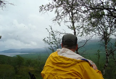 Dag 1 Trepassleden, V.Bossosglaciären och Moarhmmamassivet