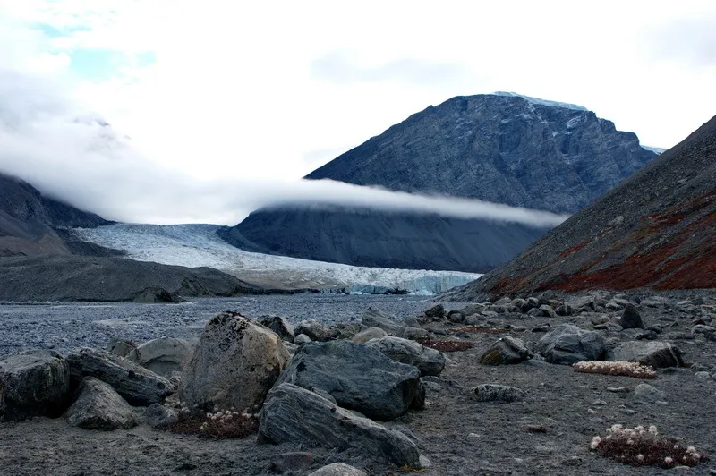 Klicka för att förstora