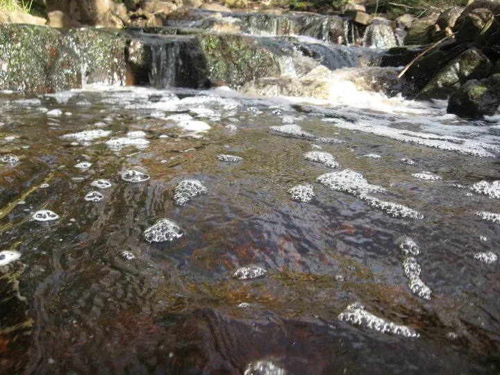 Klicka för att förstora