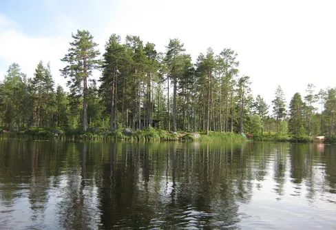 Öringjakt... Stiltje på tjärnen... harmoni...