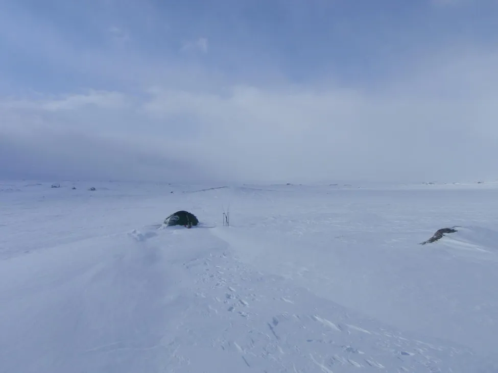Klicka för att förstora