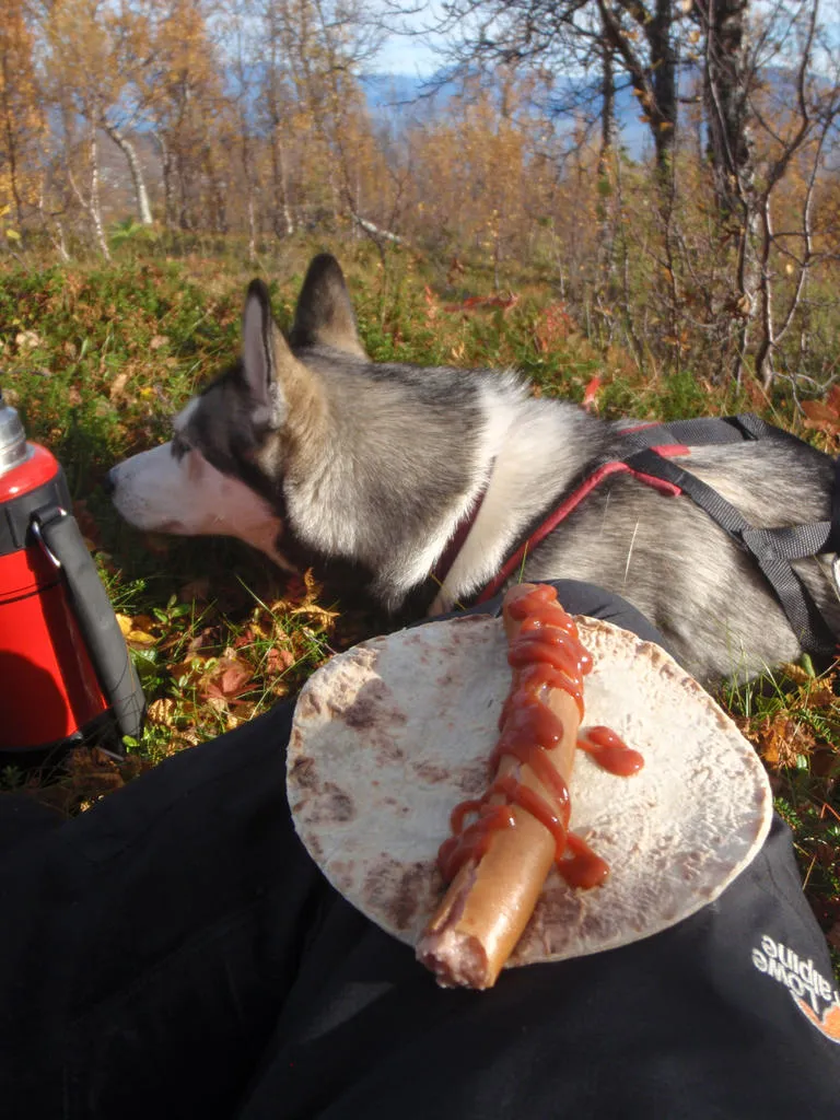 Klicka för att förstora