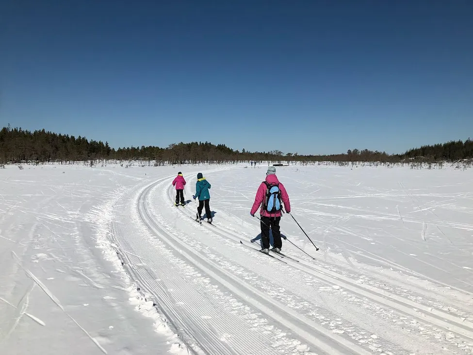 Klicka för att förstora