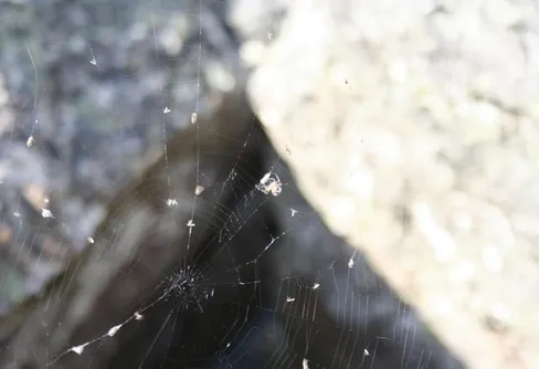 På spaning efter Jerusalemsgrottan