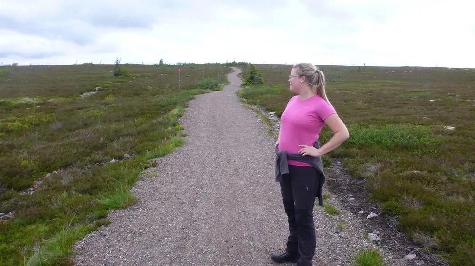 Klicka för att förstora