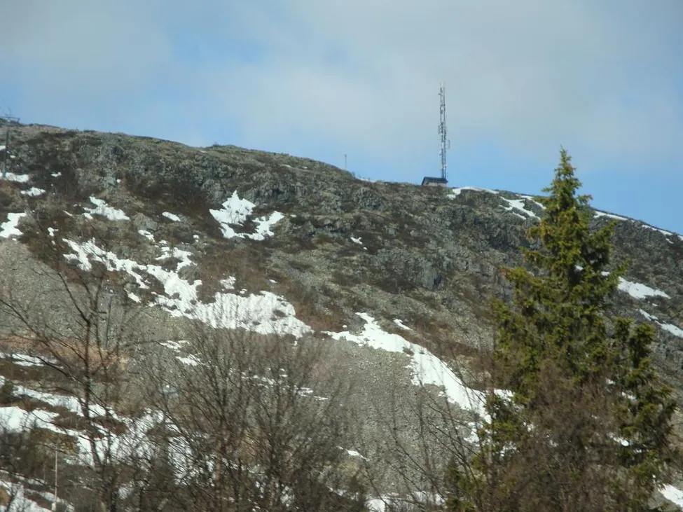 Klicka för att förstora