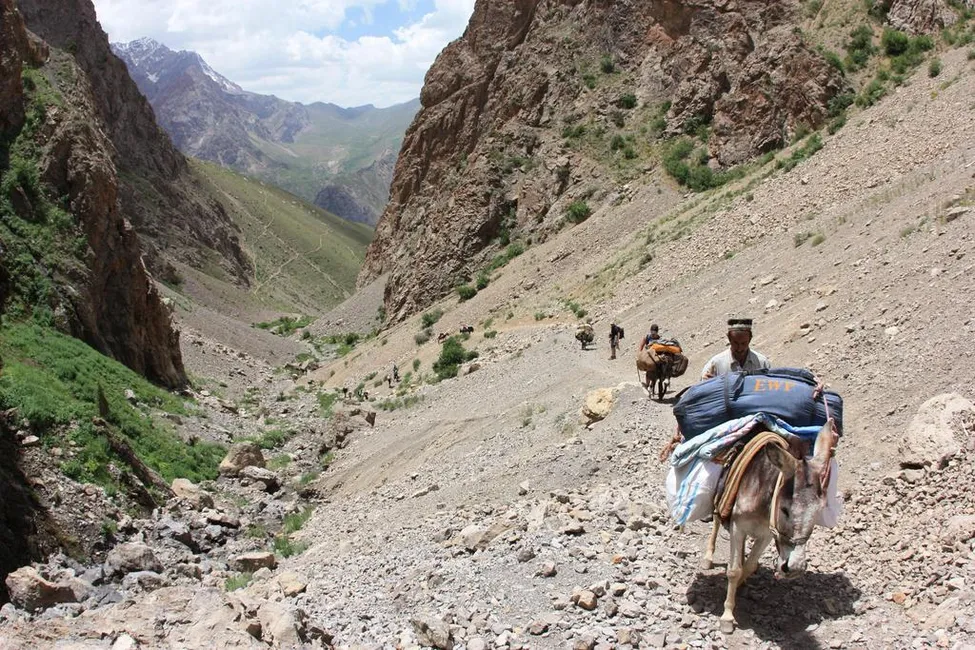 Klicka för att förstora