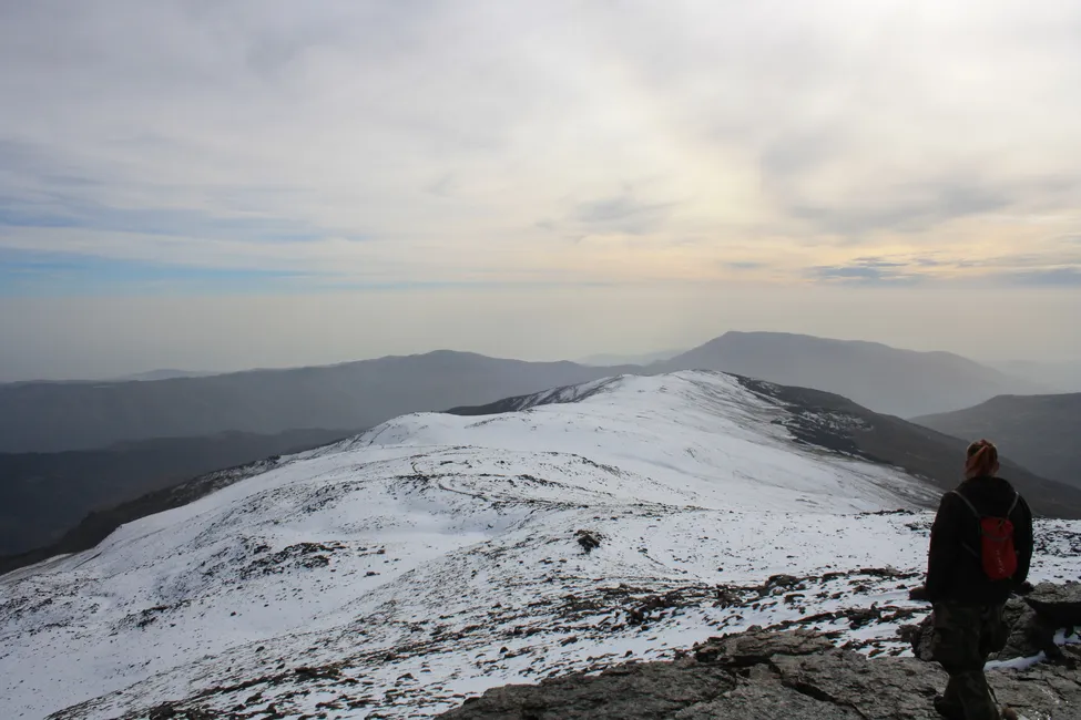 Klicka för att förstora