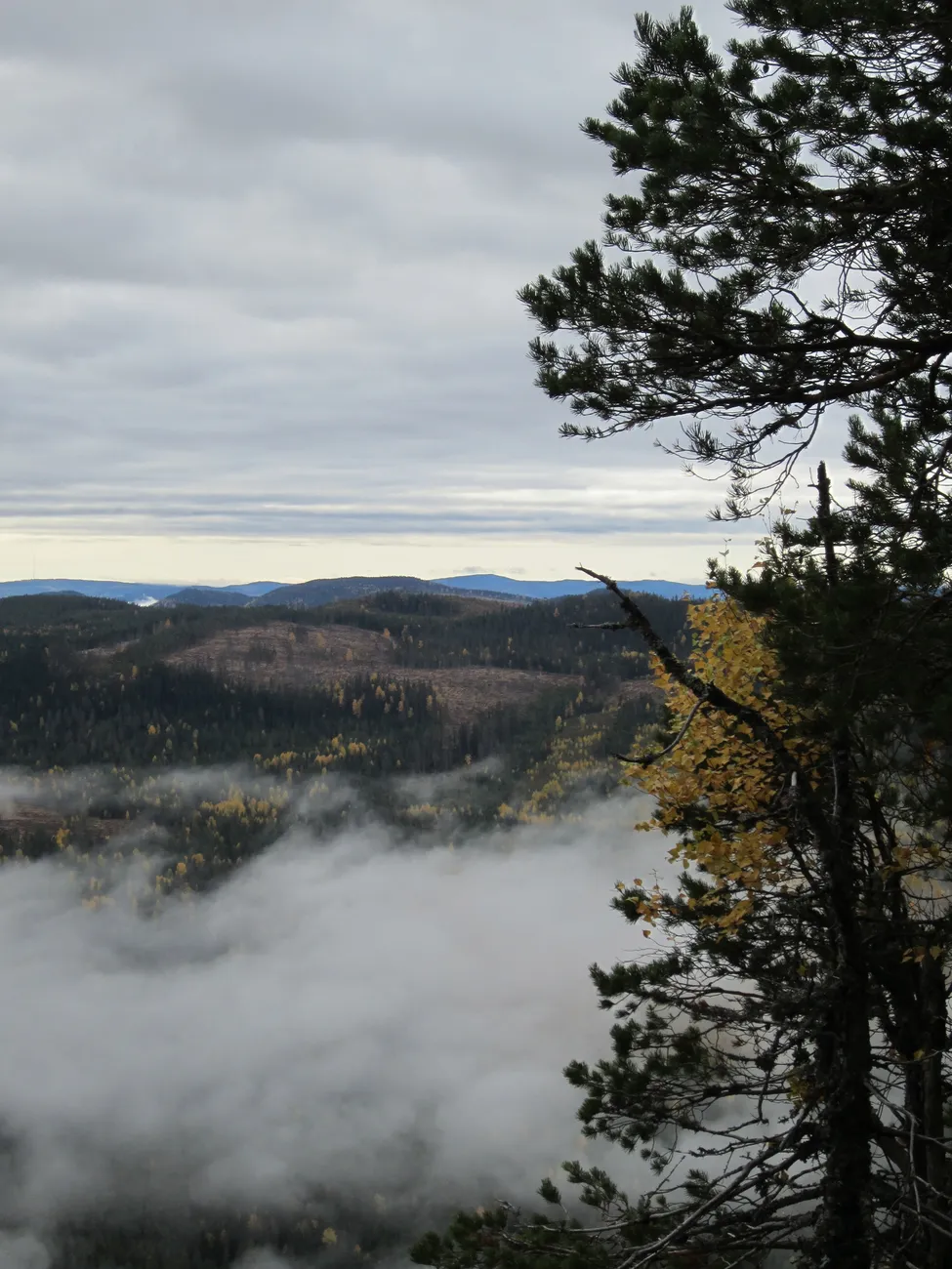 Klicka för att förstora