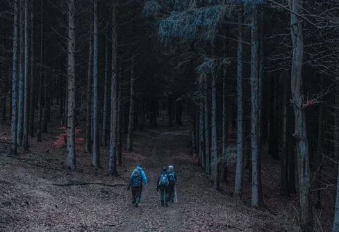 Fyledalens mörka historia