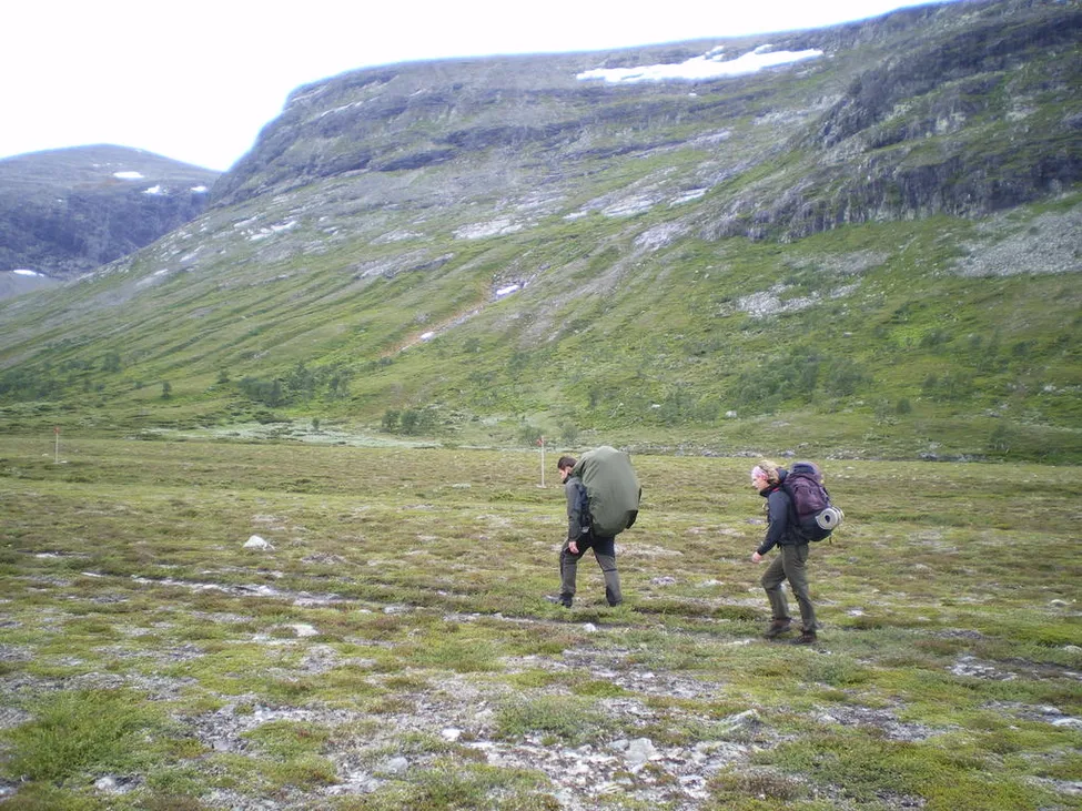 Klicka för att förstora