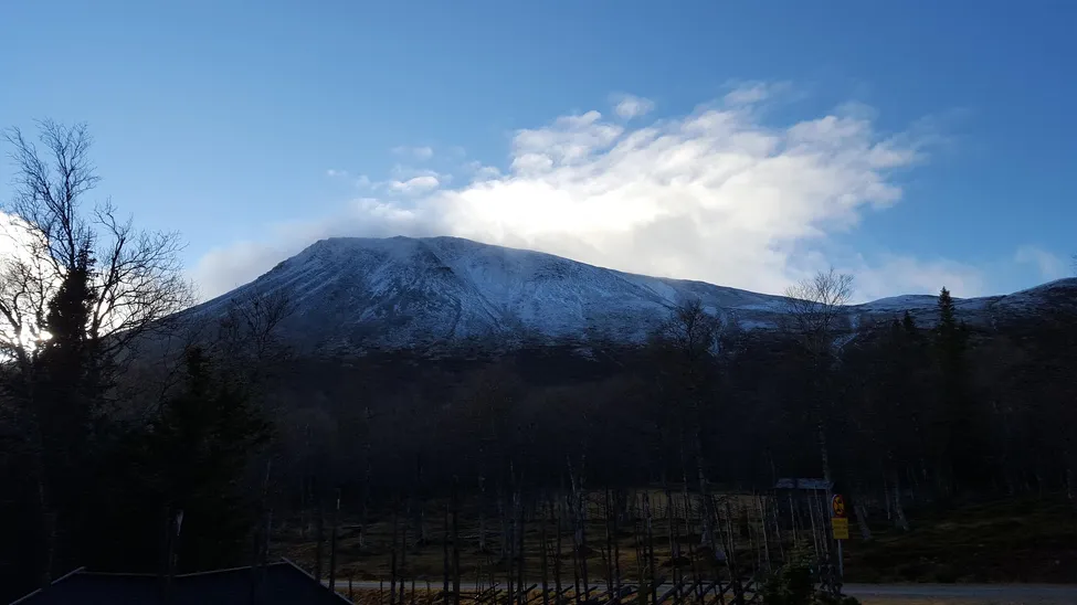 Klicka för att förstora