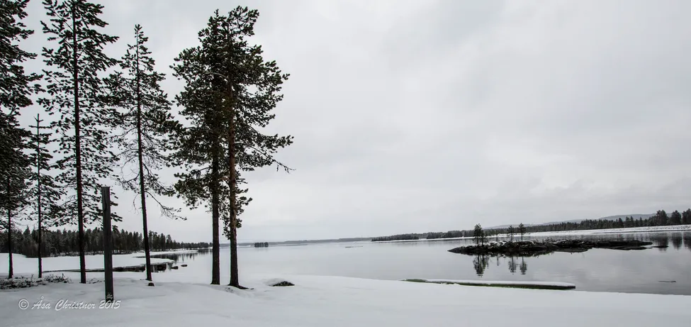 Klicka för att förstora