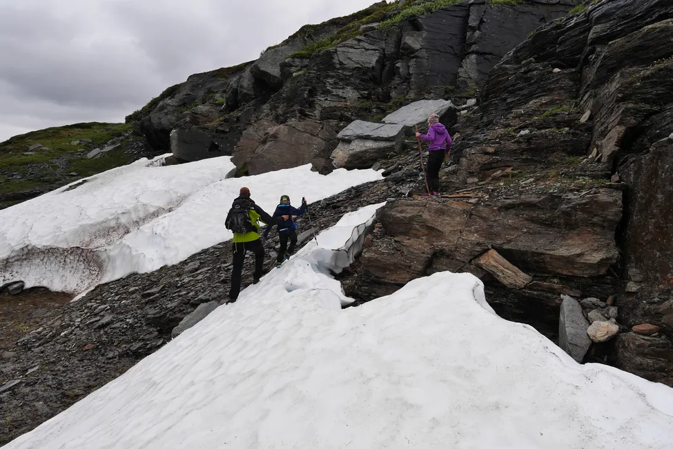 Klicka för att förstora