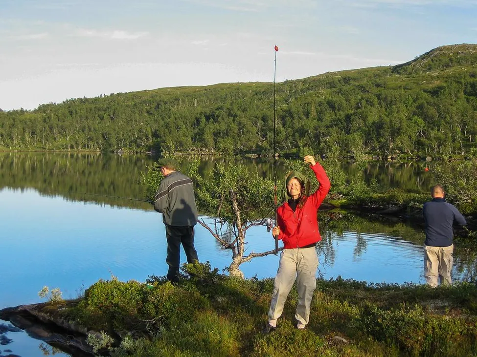 Klicka för att förstora