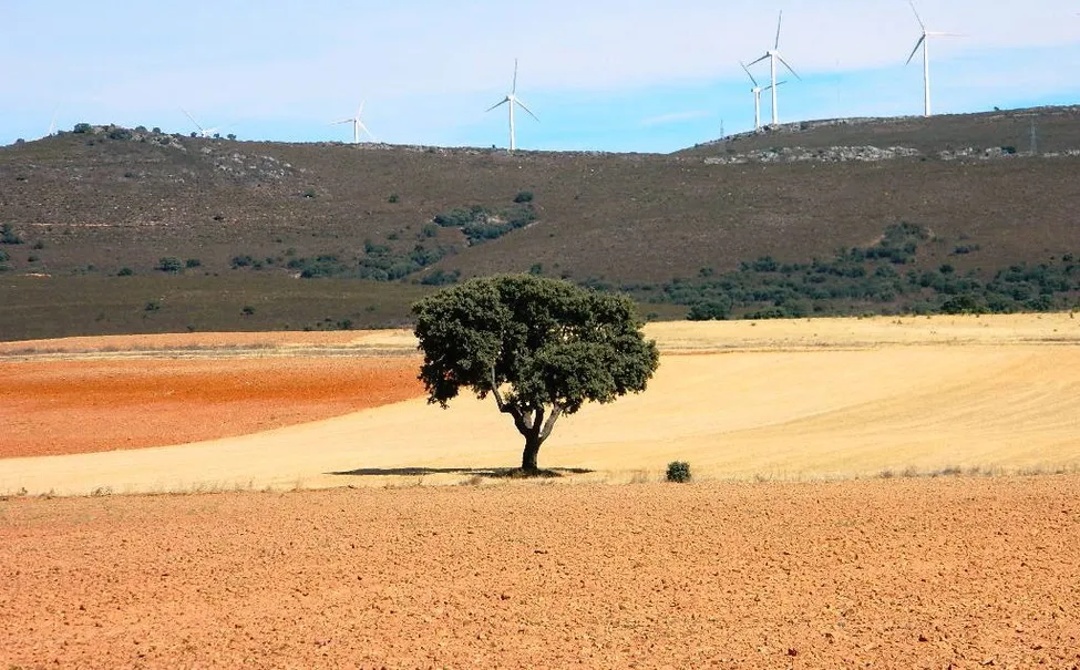 Klicka för att förstora