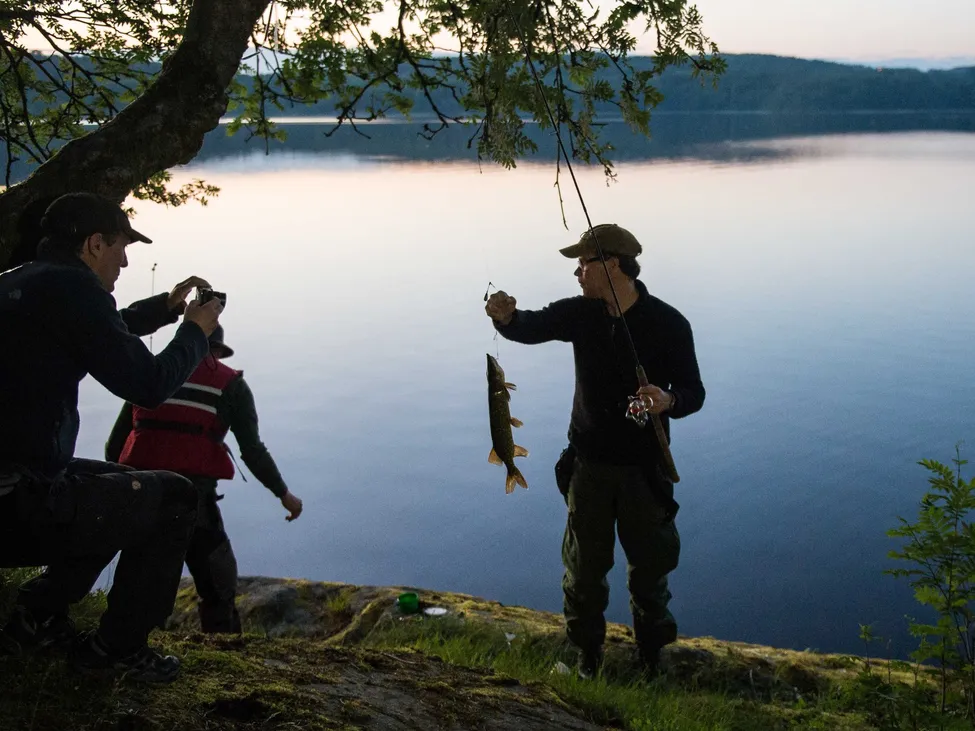 Klicka för att förstora