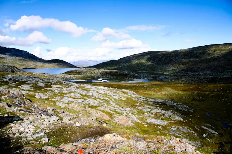 Klicka för att förstora