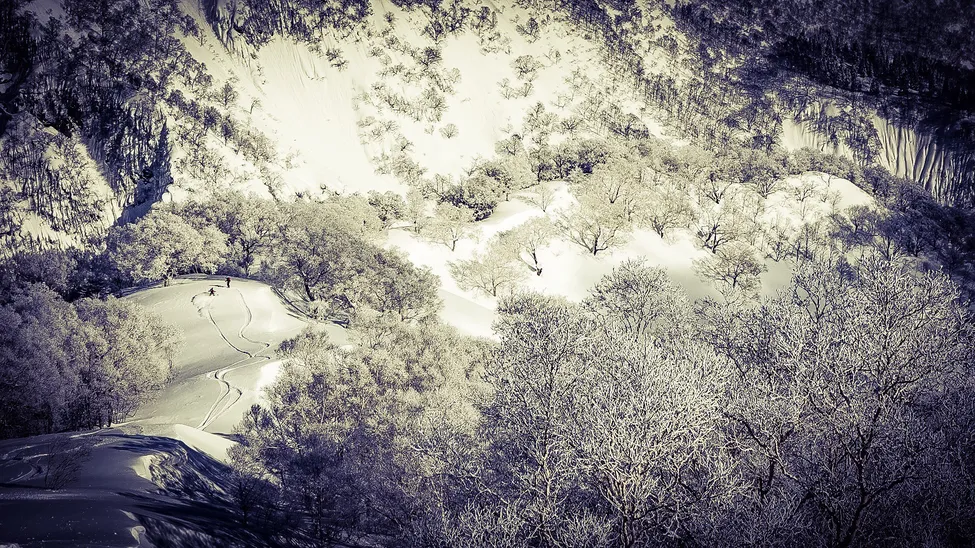 Klicka för att förstora