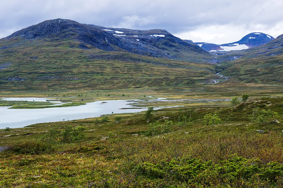 Klicka för att förstora