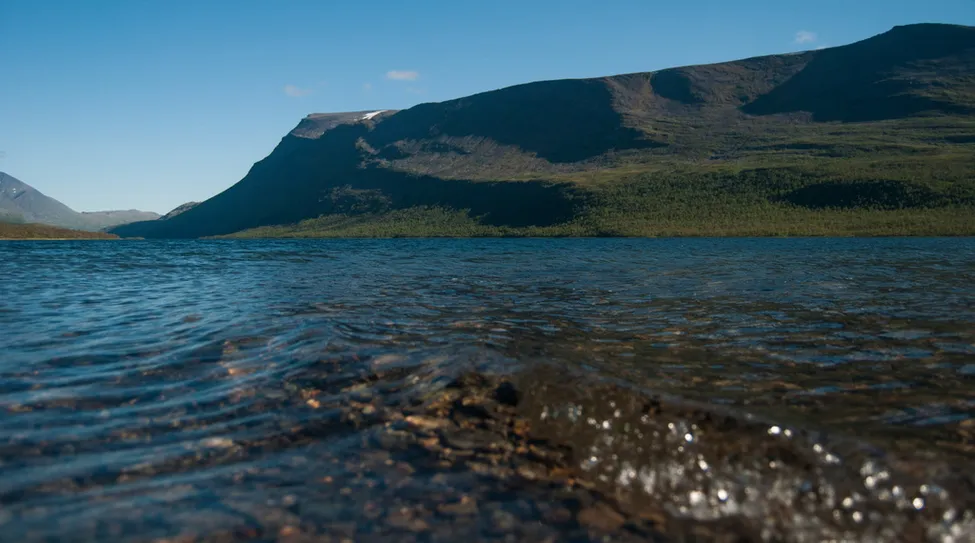 Klicka för att förstora