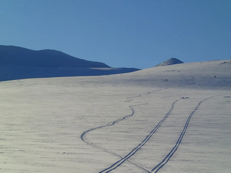 Klicka för att förstora