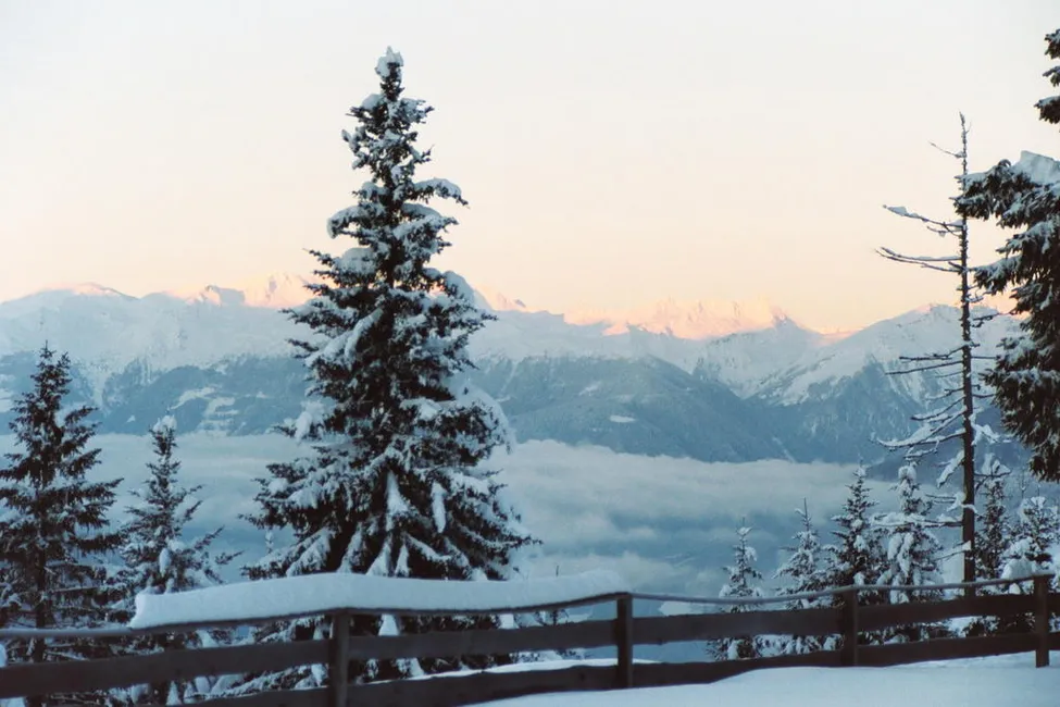 Klicka för att förstora