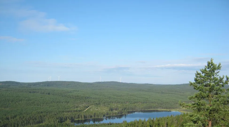Klicka för att förstora