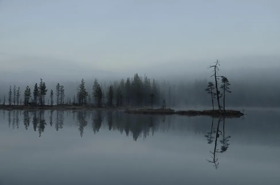 Klicka för att förstora
