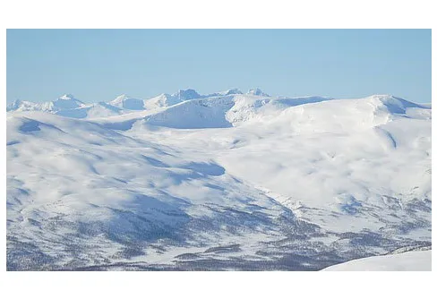 Årets första Vita bandare på väg