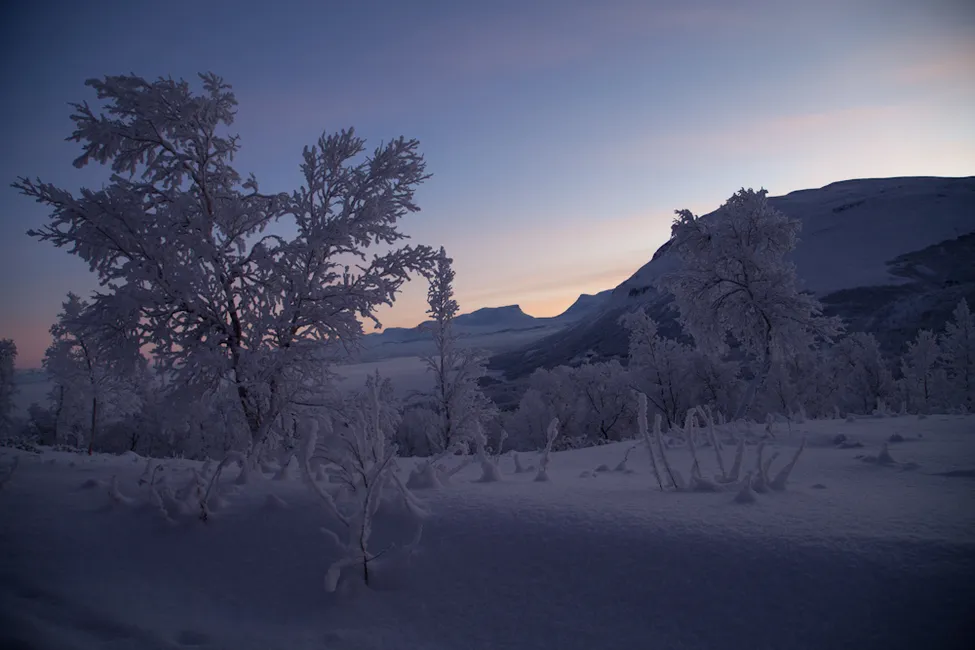 Klicka för att förstora
