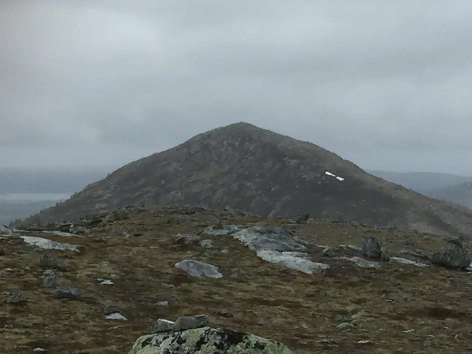 Klicka för att förstora