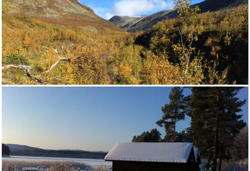 Det är både höst och vinter